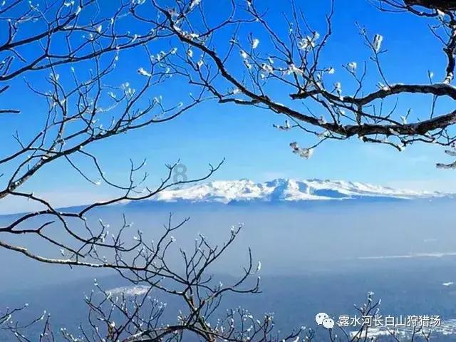 星球大乱斗